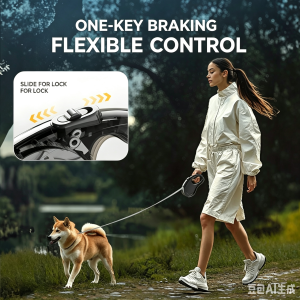 Retractable Leash