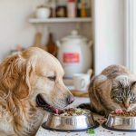 A golden retriever and a tabby cat eating balanced meals side by side