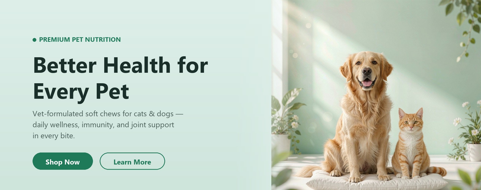 OYOUHOOL premium pet nutrition - Better Health for Every Pet
