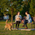 Two pet parents chatting at a park while their dogs play together